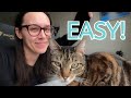 SWITCH Your Cat to a RAW Diet 🥩 (Easy Beginners Step-by-Step Guide) - #caticles