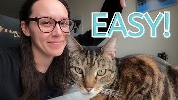 Switch your picky cat to raw (step-by-step)