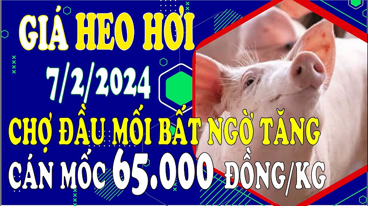 Giá lợn hơi ngày hôm nay tại thanh hóa năm 2024