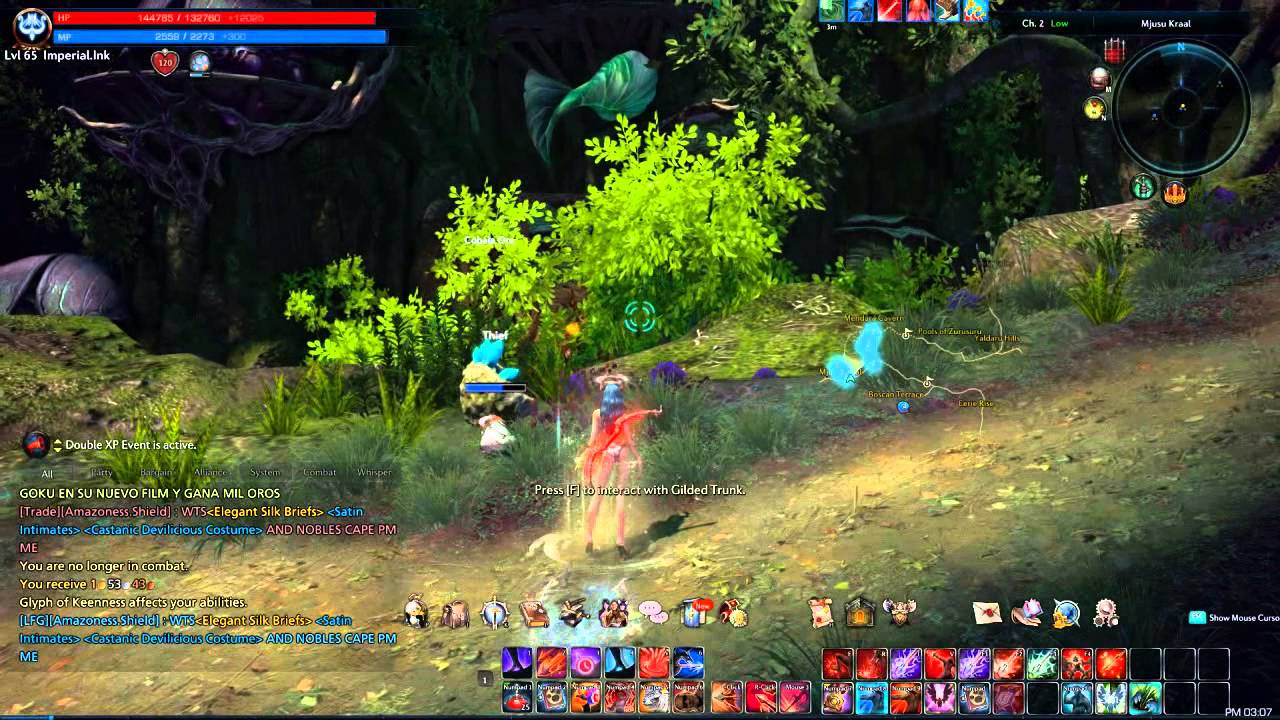 Tera Pets' Abilities [Pet Felicity & Pet Peddit] Gameplay YouTube