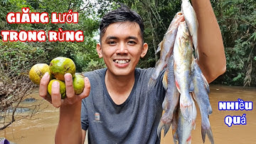 Vào Rừng Săn Cá Lăng Đầu Mùa Mưa | Làm Bữa Cơm Ngon Cho Lớp Học Tương Lai