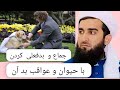 جماع و بدفعلی کردن با حیوان و عواقب بد آن 