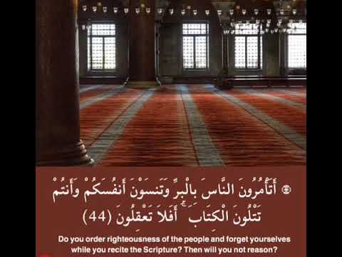 اقيموا الصلاة واتوا الزكاة واركعوا مع الراكعين