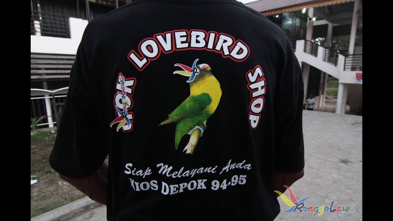 Pasar Burung Depok Solo BURSA LOVE BIRD Part 2 YouTube