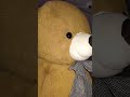 #teddy🪆#softie🧸#bruins🩶#oso🥹#cute😘#teddy🐒