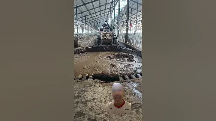 It is a good idea for livestock farms to build biogas digesters to ferment manure to get biogas !