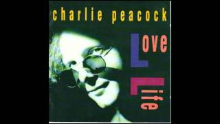 Charlie Peacock - In The Light