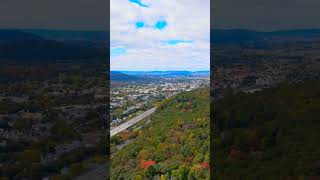 Binghamton NY