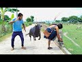 Must watch new comedy funniest amazing funny comedy bindas lover