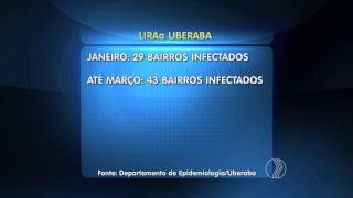 JORNAL PARANAÍBA - Dengue: Uberaba está em estado de alerta screenshot 5