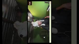 Ngoding Santai Bikin YouTube Clone di Flutter Gak Sampai Pusing! Berlayar Kite00000000