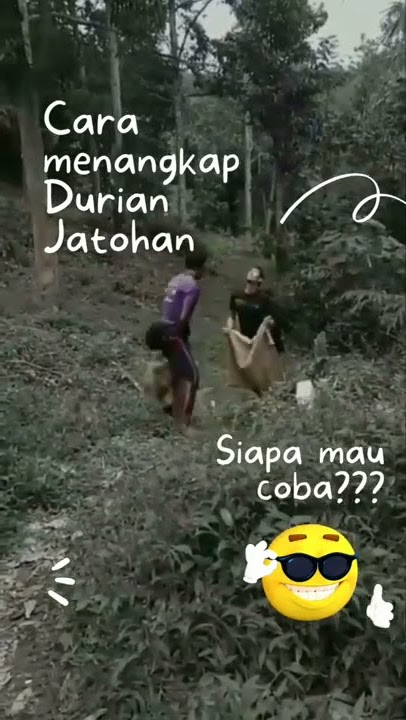 Viral, Cara menangkap Durian Jatohan, anda mau coba?😀😀😀😀 #durian #panenduren #lucu #viral