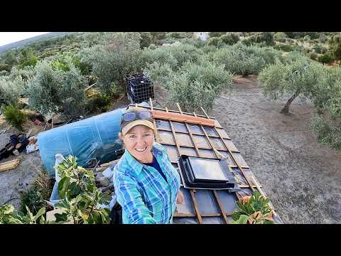 Uploads from Portugal from Scratch