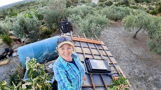 My Biggest DIY Challenge EVER... Is It Going to Plan?