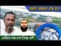 খাঁচায় মাছ চাষ পদ্ধতি। সহজ পদ্ধতিতে মাছ চাষ। ভাসমান মাছ চাষ পদ্ধতি। #fish #farming #fishing