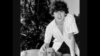 The Beatles - The Inner Light