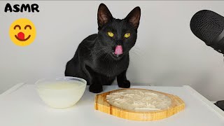 Cat eating Chicken Soup ASMR