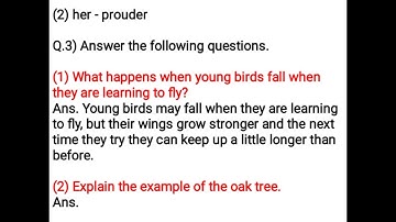 Class 6 English | Ch 1.1 Don