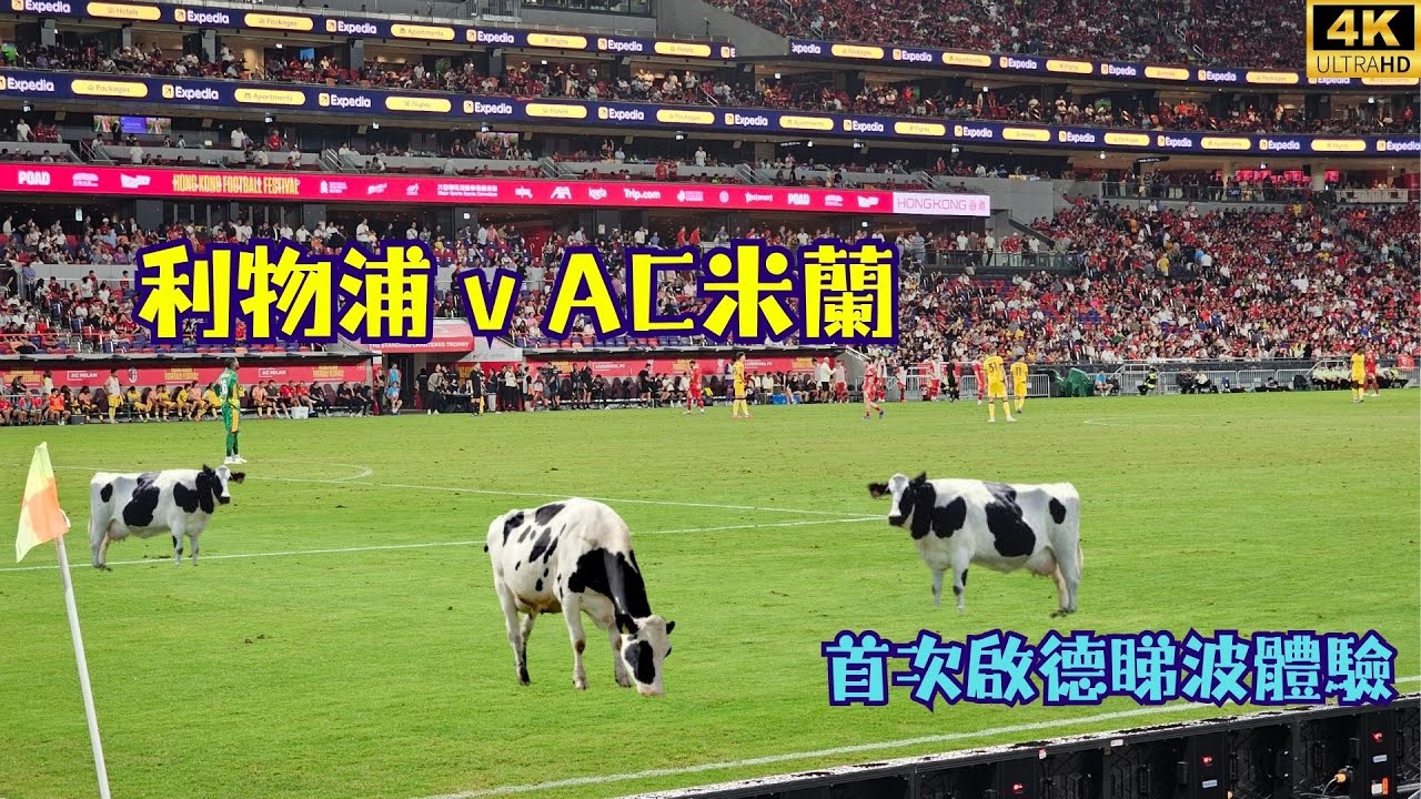 利物浦 v AC米蘭 首次啟德睇波體驗⚽️