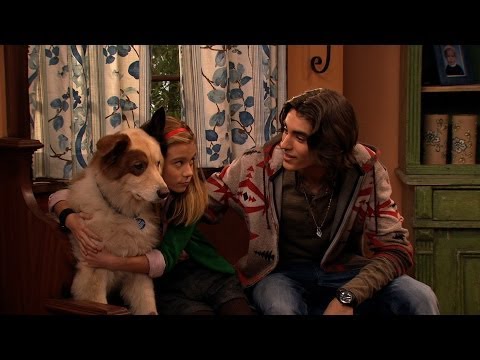 Dog With A Blog: Vol. 1 - YouTube