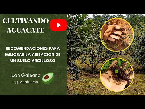 Video: Consejos para mejorar orgánicamente el suelo arcilloso