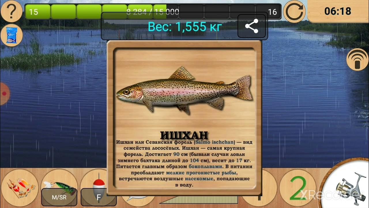 реальная рыбалка. на что ловить красноперку в реальной рыбалке на лесном озере. реальная рыбалка берш лесное озеро. ишхан реальная рыбалка. братское водохранилище реальная рыбалка.