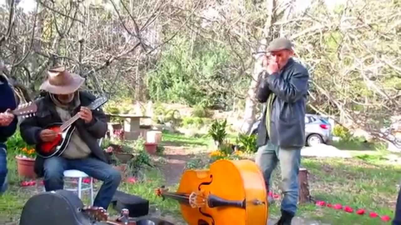 Hey Hey My My Neil Young Song Equinox Festival 2015 YouTube Hey hey my my neil young song equinox festival 2015 youtube