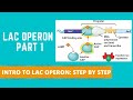 Lac operon part 1 intro to lac operon