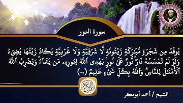 سورة النور بصوت الشيخ أحمد أبوبكر نافد