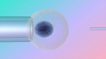 Microinjection into a cell