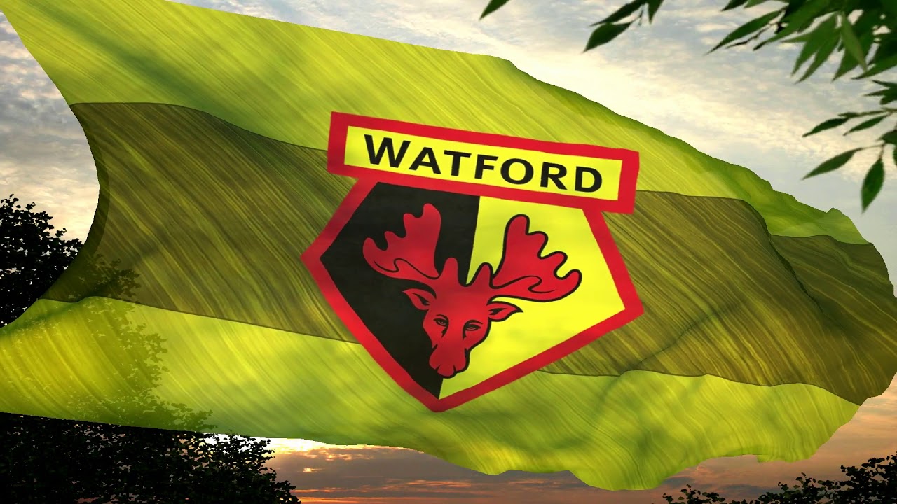Watford Football Club Anthem Hymn Fan Chant PREMIER LEAGUE YouTube