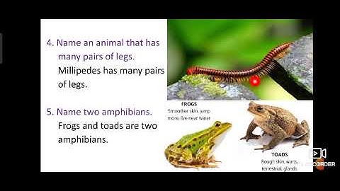 Class 4 / ICSE / Science / Lesson 7 part 3 / Session 16