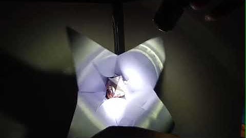 micro:bit_光源感測追光器