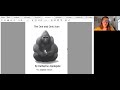 The One and Only Ivan - Chapter 1 Quiz