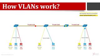 How VLANs work? (Excellent Animation)