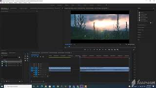 Tutorial Ink Transition + Free Preset - Adobe Premiere Pro