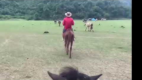 Anh chàng chạy Minsk 1800km ra Thảo Nguyên Đồng Lâm học cưỡi ngựa