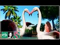 🦩 Starting a new Franchise! | Flamingo Habitat | Planet Zoo Gameplay | Ep. 1 |