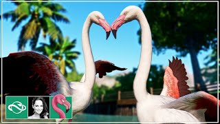 Starting a New Tropical Zoo in Franchise Mode | Ep. 1 | Planet Zoo Gameplay screenshot 5