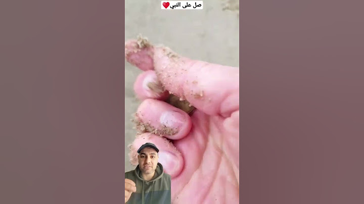 شاب أمريكي يعثر على أغرب عملة فرعونية قديمة تحت الأرض!😳😅 #shorts #الجنيه_المصري