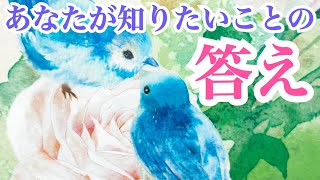 【有料級心理アドバイスの選択肢あります‼️】あなたが知りたいことの答え✨