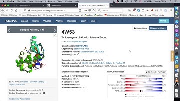 Free Energy Calculator Tutorial 4: Absolute Ligand Binder for Solution Systems