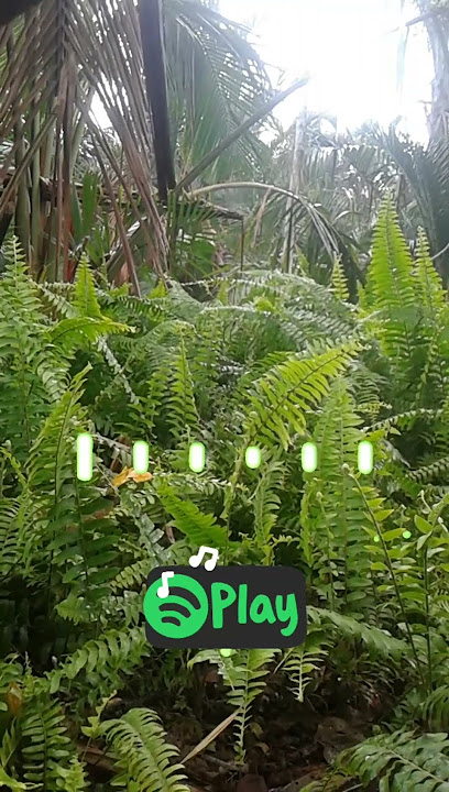 Notifikasi wa keren suara hujan di atap
