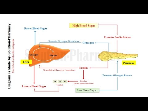 Video: Hvordan reduserer insulin kalium?