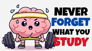 How to Never Forget What You Study Again Science Based