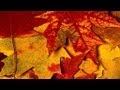 Miniature de la vidéo de la chanson Concerto Grosso No. 1: Iii. Pastorale And Rustic Dances