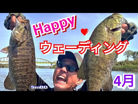 SmBDスモールマウスバス道 - YouTube