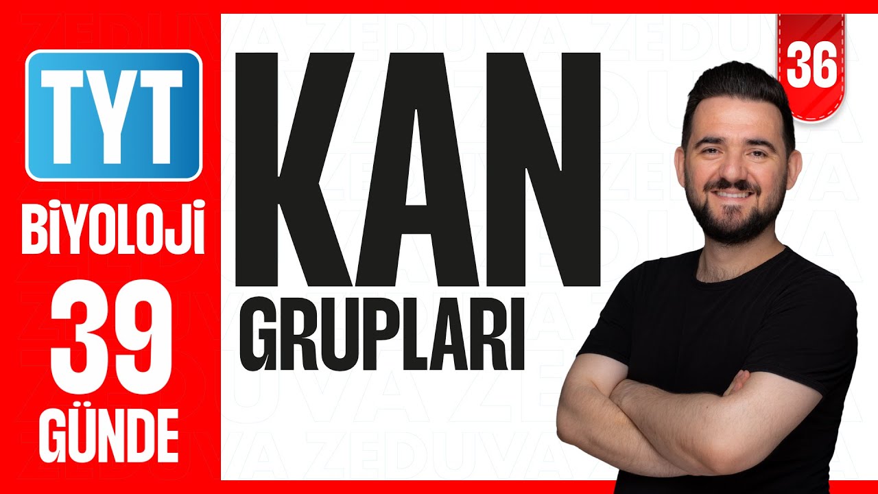 Kan Grupları Soru Çözümü| 39 GÜNDE AYRINTILI TYT BİYOLOJİ KAMPI 2026-2027 | 36