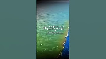 ﴿مرج البحرين يلتقيان﴾..القرآن الكريم☘️..القارئ عمير شميم🌹..
