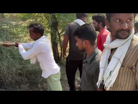 पहली बार लोगो ने देखा इतना बड़ा सांप और घेर लिया चारों तरफ़ से @Shyamgovindsar8000